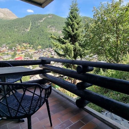 Haus Bodmen C, Apartment Edelweiss ツェルマット エクステリア 写真